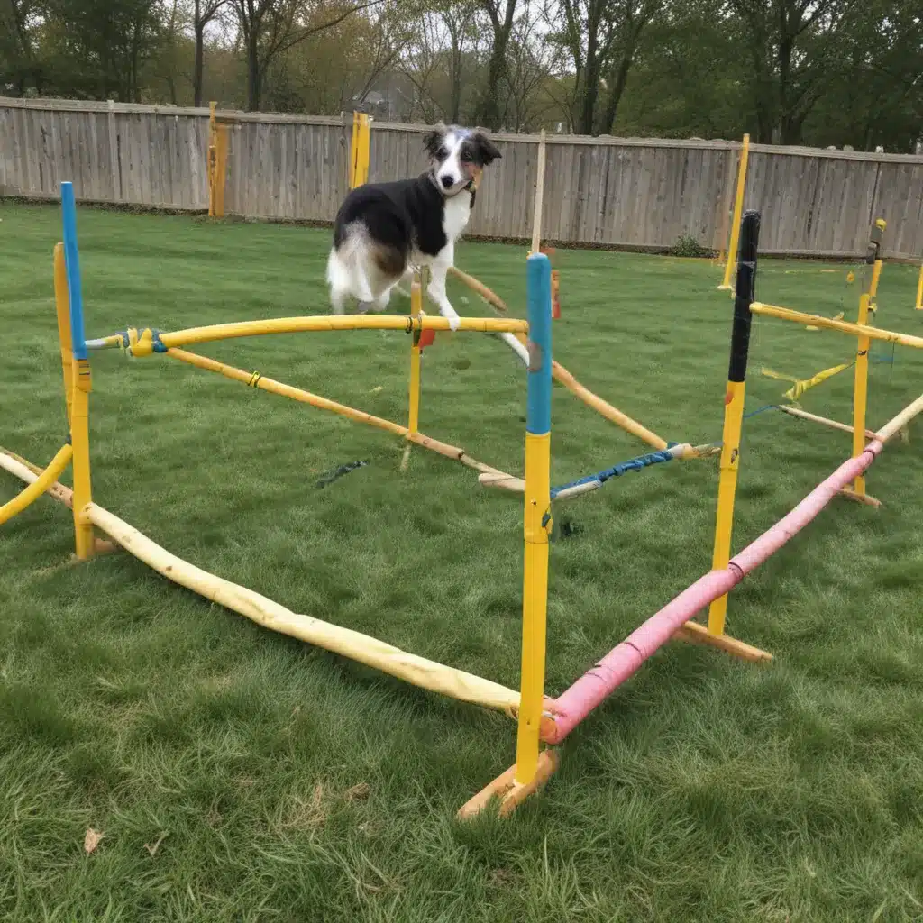 Building a DIY Dog Agility Course