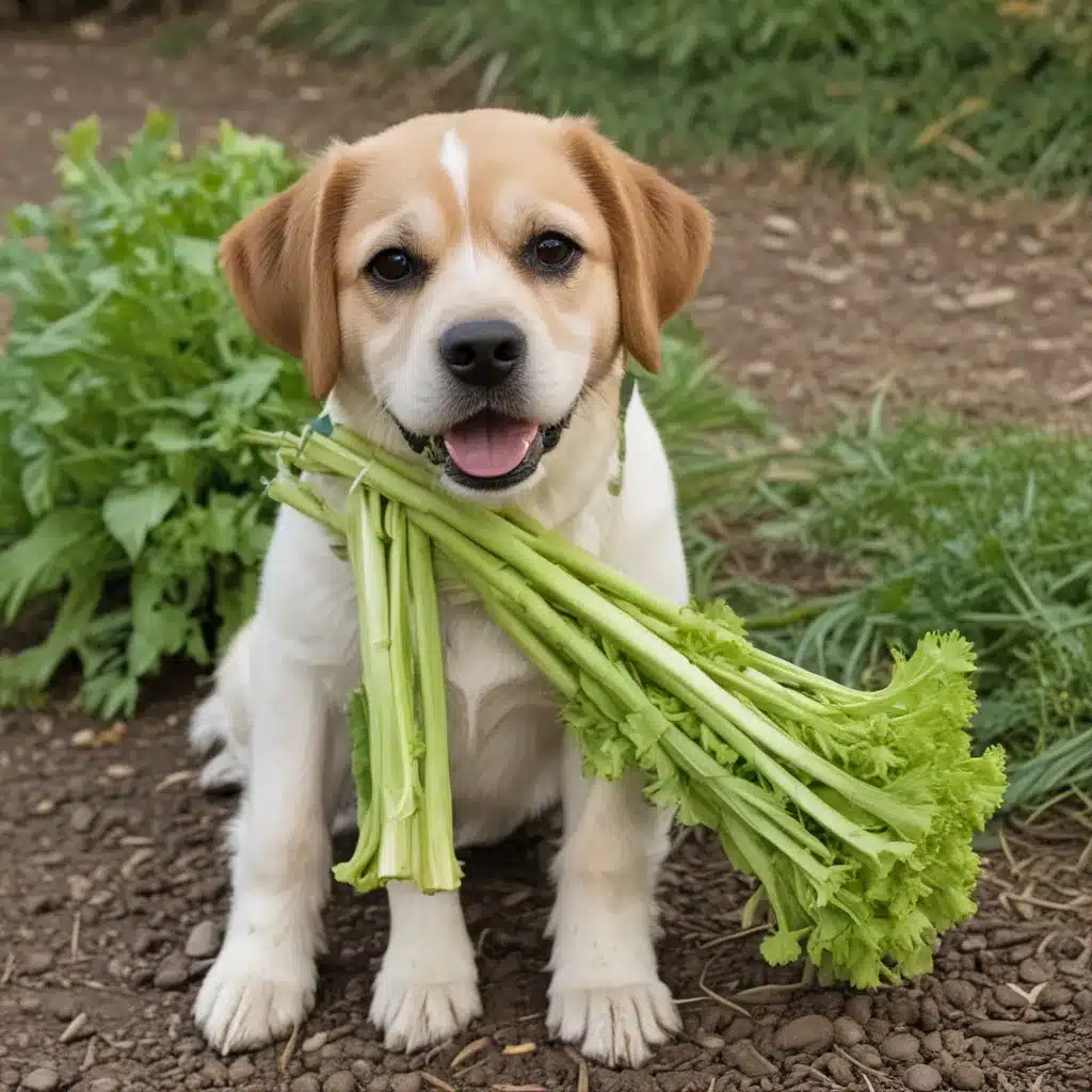 Can Dogs Eat Celery? Safely Providing Stalks and Leaves