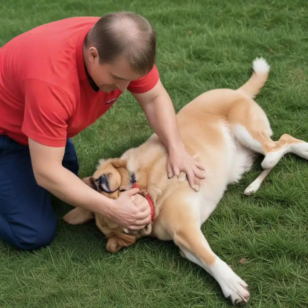 Dog CPR: When and How to Do Chest Compressions