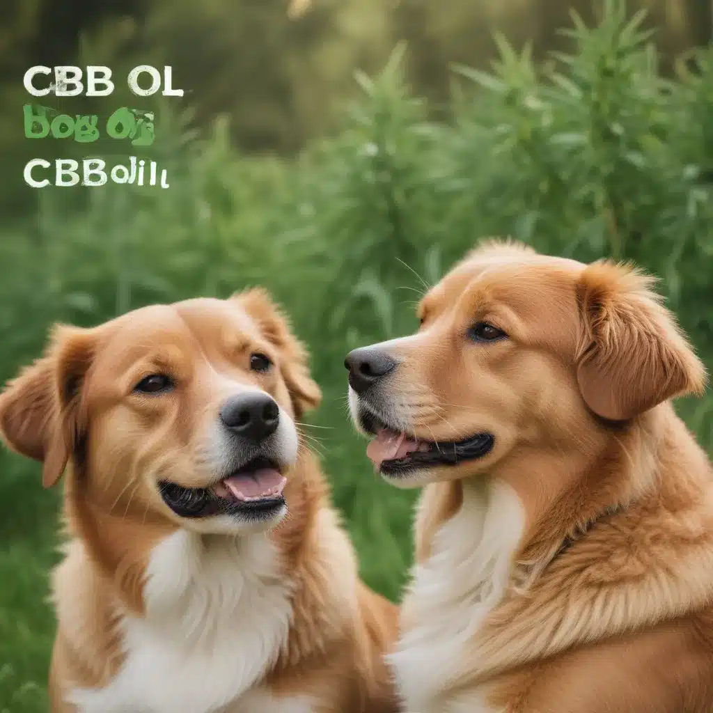 Everything You Need To Know About CBD Oil for Dogs