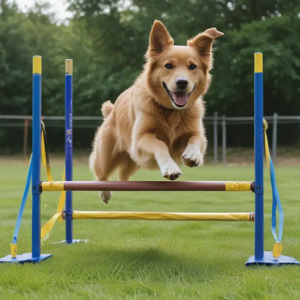 Intro to Agility: Training Tips to Try with Your Dog