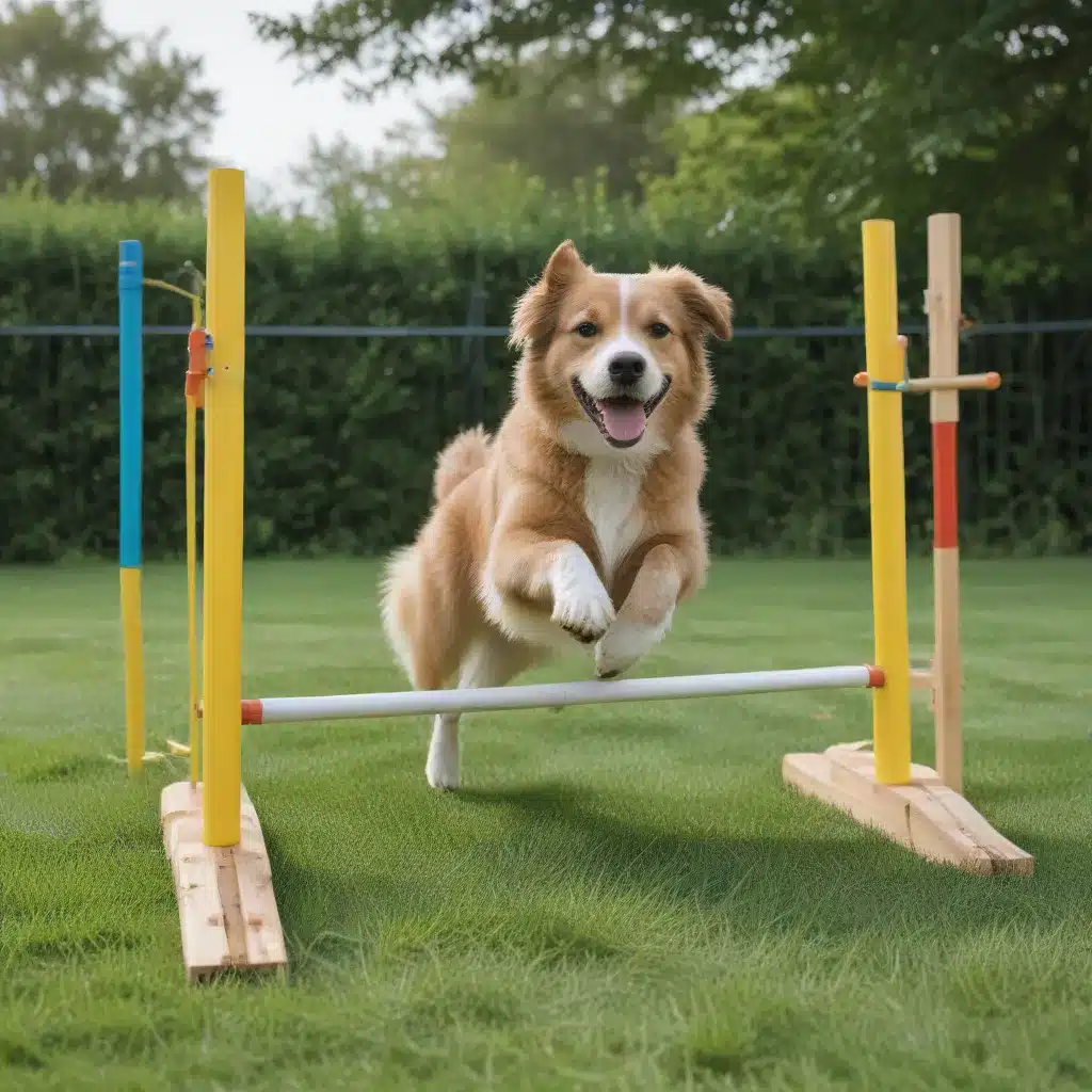 Set Up Backyard Agility Courses for Your Dog