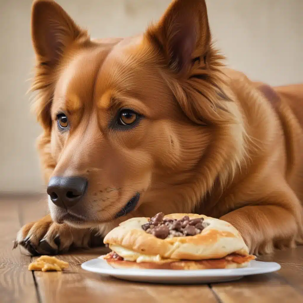 When Snacking Attacks! Busting Dog Obesity Myths